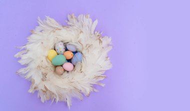 Yuvasında renkli yumurtalarla Paskalya sahnesi