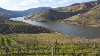 Şarap bağları, Portekiz, Unesco dünya mirası sitesi olan Douro şarap vadisi