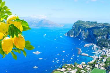 Güzel Marina Grande limanı manzarası yukarıdan, Capri Adası, İtalya, web pankartı formatı