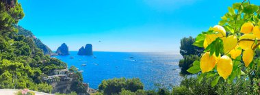 Ünlü Faraglioni uçurumları ve limonlu Capri adası kıyıları, İtalya, retro tonlu