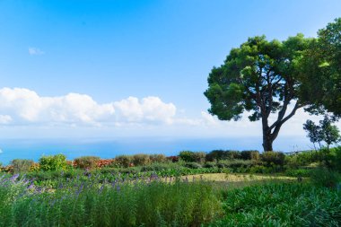 İtalya 'nın Amalfi kıyısındaki Ravello köyünün parkındaki çeşme.