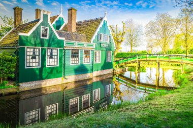 rural dutch country skyline of small old town Zaanse Schans and tulips fields, Netherlands clipart