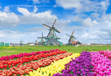 Kırsal Hollanda 'nın küçük tarihi kasabası Zaanse Schans' ın günbatımında ufuk çizgisi ilkbaharda Hollanda