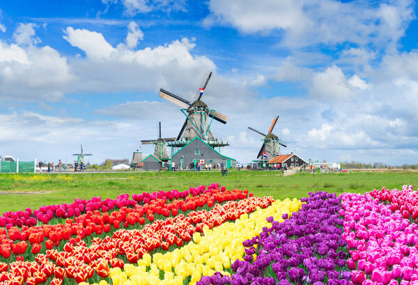 сельские голландские пейзажи маленького старого города Zaanse Schans на закате, Нидерланды весной