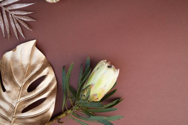 Kahverengi arka planda tropik yapraklar ve çiçekler, kopyalanmış yaz arkaplanı, 2025 yılının rengi mocha mus.