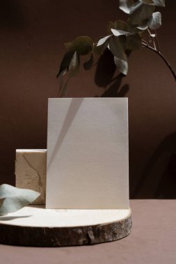 Zengin kahverengi toprak tonları ile doğal stil stok sahnesi, kopyalanmış ahşap podyum, yılın rengi 2025 mocha mus.