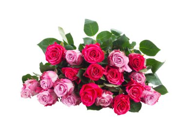 Beyaz arka planda izole pembe taze çiçek tomurcuğu