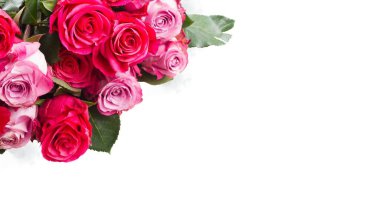 Beyaz arka planda izole pembe taze çiçek tomurcuğu