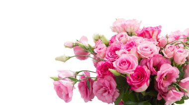 pembe eustoma çiçek beyaz zemin üzerine izole kapatmak