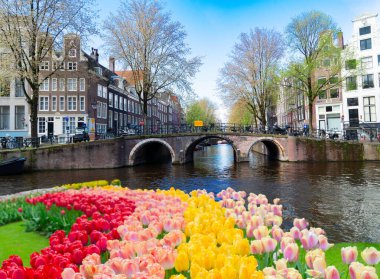 Hollanda, Amsterdam 'da kanal suyu üzerinde eski tarihi evler ve ağaçların cepheleri