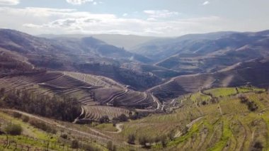 Şarap bağları, Portekiz, Unesco dünya mirası sitesi olan Douro şarap vadisi