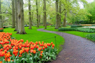 İlkbahar resmi bahçesinde çiçek açan lalelerle dolambaçlı bir yol