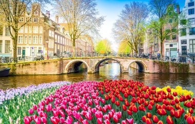 Hollanda, Amsterdam 'da kanal suyu üzerinde eski tarihi evler ve ağaçların cepheleri