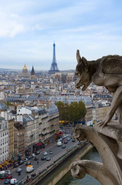 Gargoyle notre dame Katedrali ve şehir paris, Fransa