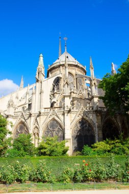 Notre Dame Katedrali'nde yaz günü, Paris, Fransa