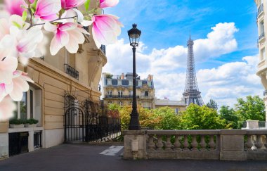 Meşhur Eyfel Kulesi ve Paris şehri İlkbaharda, güneşli Paris Fransa