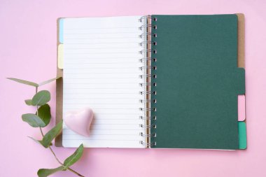 Açık defter ve yeşil okaliptüs yapraklı sıfır atık kavramı pembe arkaplan üzerinde