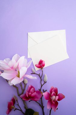 Çiçekli pembe manolya ağacı dalı menekşe arkaplanına karşı çiçekler, boşluğu kopyala