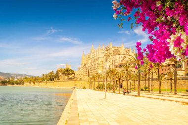 Palma de Majorca 'nın başkenti Mayorka, İspanya ve Balearic adalarındaki eski katedral ve dolgu.