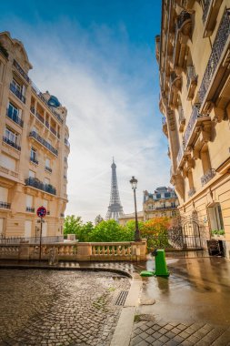 Paris 'in ünlü Eyfel Kulesi manzaralı sıcacık caddesi, Paris' in yaz günü Fransa