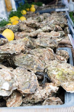 Fransa, Parice 'de çiftçi pazarında taze istiridye tabakları