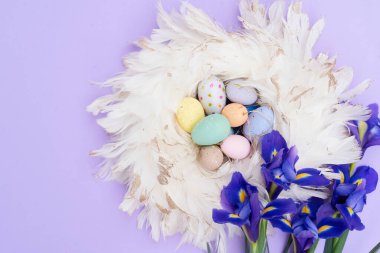 Paskalya sahnesinde menekşe arka planında renkli yumurtalar