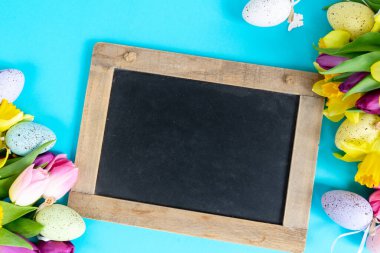 laleler ve nergis çiçekleri karatahtanın üzerinde kopya alanı olan çerçeveler