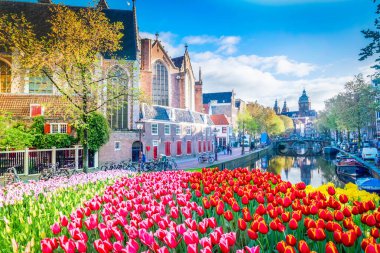 Eski tarihi evlerin ve çiçeklerin cepheleri kanal suyunun üzerinde, Amsterdam, Hollanda