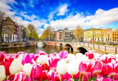 Eski tarihi evler, köprüler ve ağaçların kanal suyu üzerindeki cepheleri, Amsterdam, Hollanda