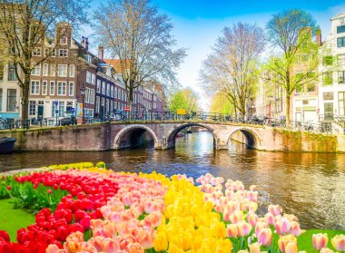 Hollanda, Amsterdam 'da kanal suyu üzerinde eski tarihi evler ve ağaçların cepheleri