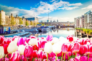 Hollanda, Amsterdam 'da kanal suyu üzerinde eski tarihi evler ve ağaçların cepheleri