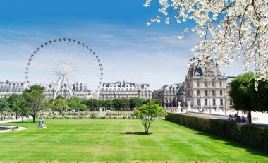 Paris 'te yaz tatili. Louvre Sarayı 'nın önünde feribot tekerli Tuileries bahçeleri, Paris Fransa.