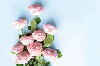 Blooming pink rose flowers bouquet on blue background for Mothers Day