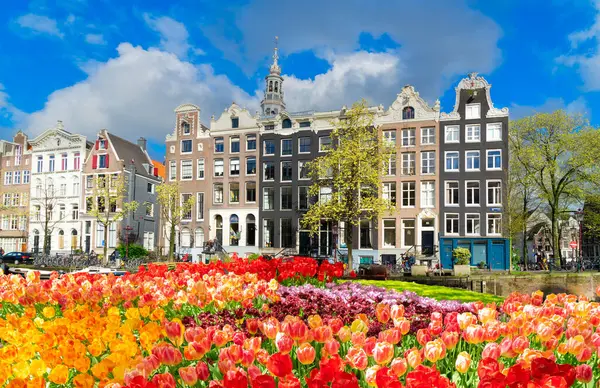 Hollanda, Amsterdam 'da kanal suyu üzerinde eski tarihi evler ve ağaçların cepheleri