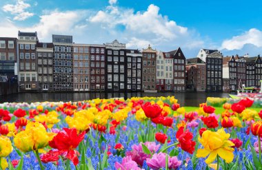 Hollanda, Amsterdam 'da kanal suyu üzerinde eski tarihi evler ve ağaçların cepheleri
