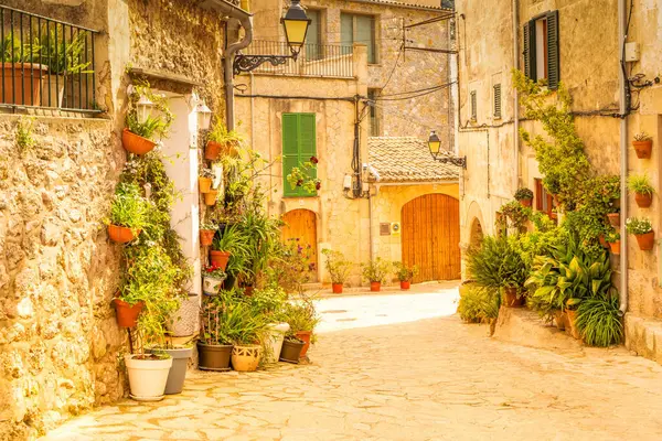 Geleneksel saksıları, Mayorka, İspanya, Belearic adaları olan eski Valdemossa kasabasında bir sokak