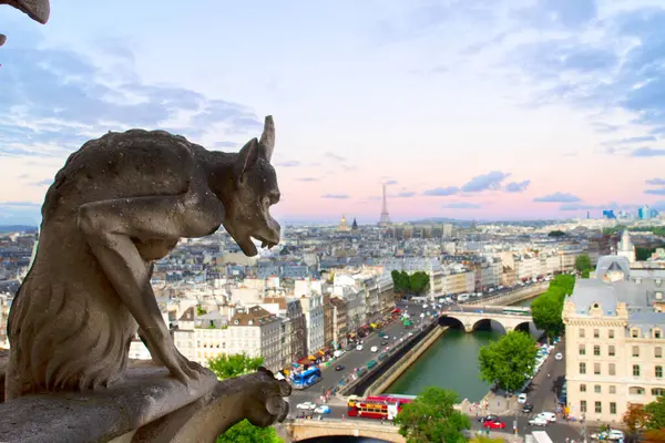 Paris Notre Dame Katedrali Notre Dame Kilisesi ve Paris cityscape yukarıdan çirkin yaratık, Fransa, retro tonda