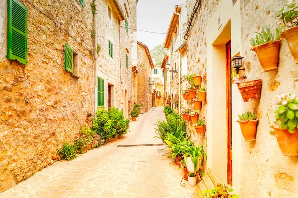 Geleneksel saksıları, Mayorka, İspanya, Belearic adaları olan eski Valdemossa kasabasında bir sokak