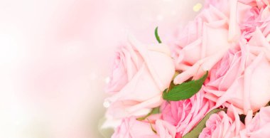 Pembe ve mavi bokeh arka plan üzerinde pembe çiçek taze gül