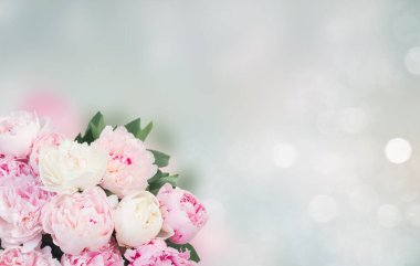 Taze Şakayık çiçekleri pembe bokeh arka plan üzerinde yaprakları ile