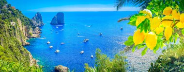 Ünlü Faraglioni uçurumları ve limonlu Capri adası kıyıları, İtalya, retro tonlu