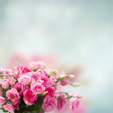 Bir demet pembe gül ve Eustoma çiçekleri beyaz arka planda izole bir şekilde kapanır.