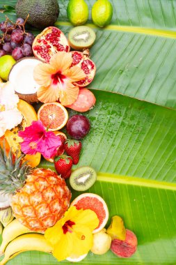 Yeşil yaprağın üzerinde tropikal meyve karışımı ve fotokopi alanı