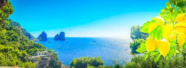 Ünlü Faraglioni uçurumları ve limonlu Capri adası kıyıları, İtalya, retro tonlu