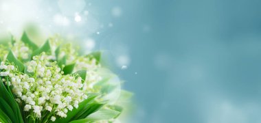 Valley Çiçekleri 'nden Lilly demeti Mavi Bokeh arkaplan pankartı