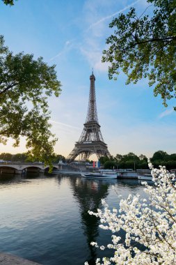 Paris 'in ünlü simgeleri. Eiffel Kulesi, nehrin üzerinde yeşil ağaç, Paris Fransa