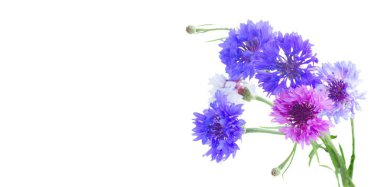 Bu çarpıcı çiçek düzenlemesi zarif mavi ve mor çiçek çiçeklerini içeriyor, herhangi bir tasarımı güçlendiriyor ve yükseltiyor.