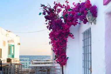 Naoussa, Yunanistan 'ın Paros adasındaki küçük bir köy olan güneşli denize açılan tipik beyaz cadde.