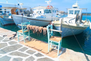 Kurutulmuş taze ahtapotlar - Yunanistan 'ın Paros adasının tipik yemekleri