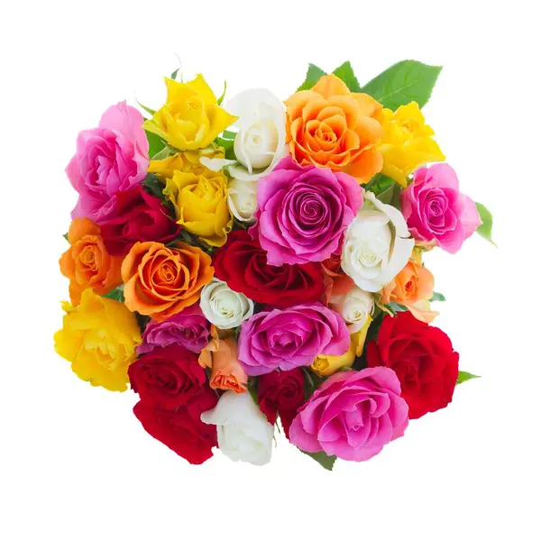 çok renkli taze çiçek tomurcukları sınır beyaz arka planda izole